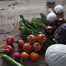 Ernährung und Vitamin-/Mineralstoffhaushalt